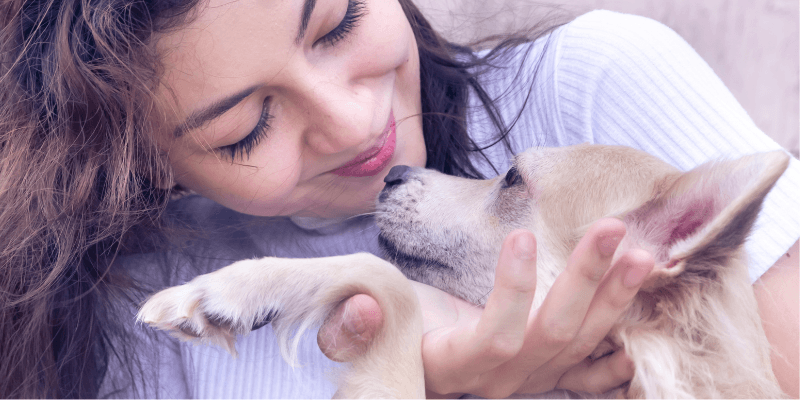 What are some meaningful occupations with animals?