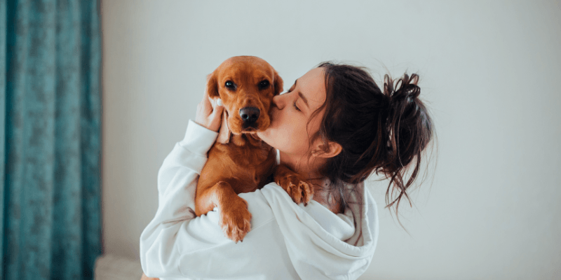 How to learn dog CPR quickly
