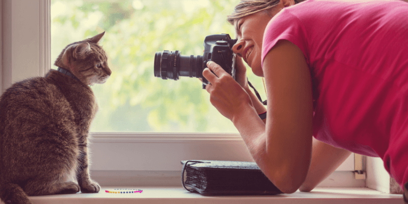 Become a cat photographer