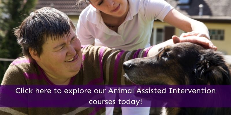 Study an Animal Assisted Intervention Course Online