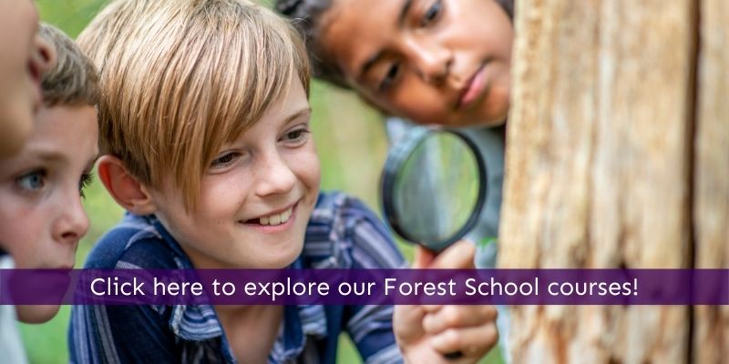 Learn to lead a forest school programme