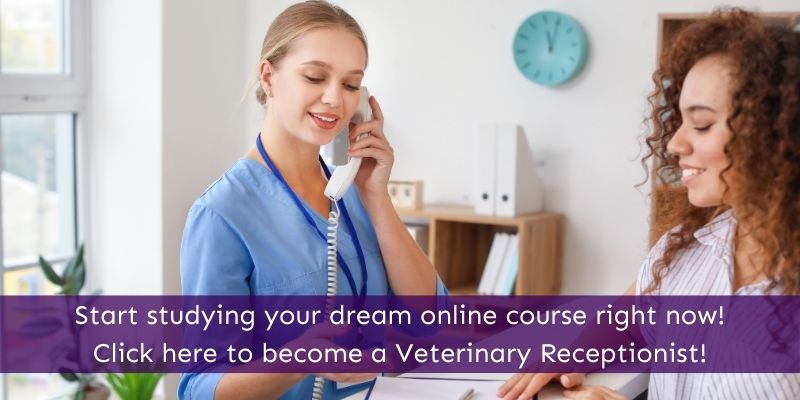 Online Veterinary Receptionist Courses Animal Courses Direct