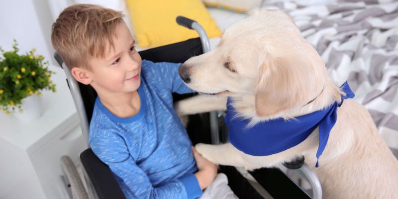 child-playing-with-assistance-dog