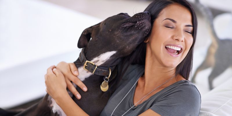What are the Benefits of Canine Massage Therapy