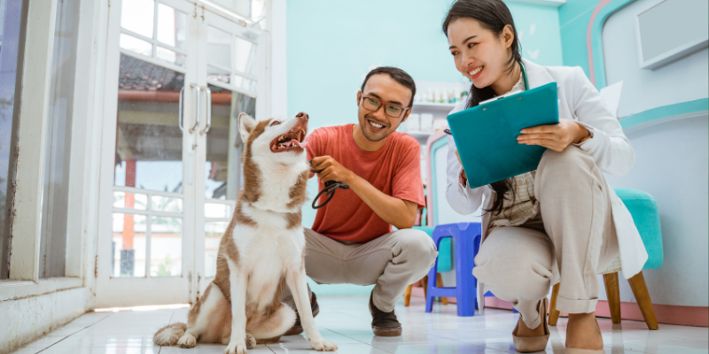 Mental Wellbeing Benefits of Working With Animals