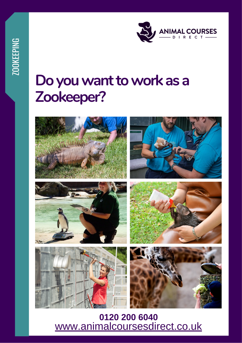 personal statement for zookeeper