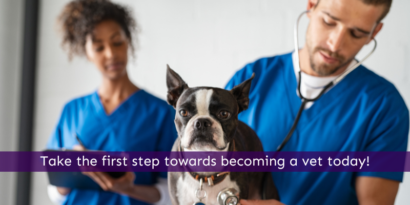 Click here to take the first step towards becoming a vet today!