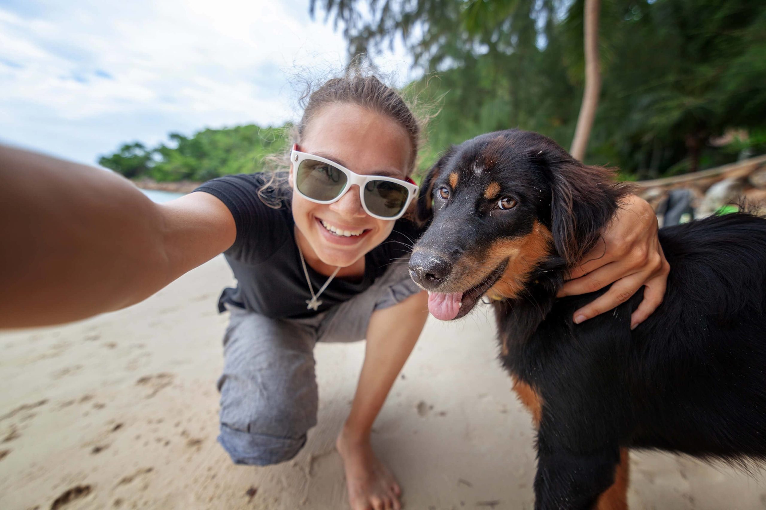 Dog on the Beach