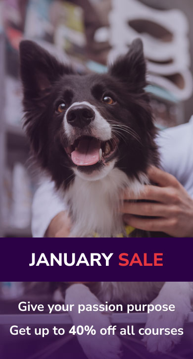 Animal Courses Direct | Courses | Ofqual Qualifications