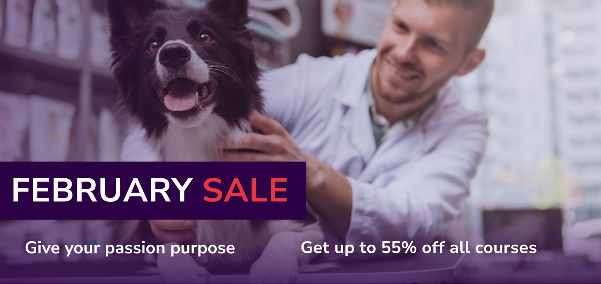 Animal Courses Direct | Courses | Ofqual Qualifications